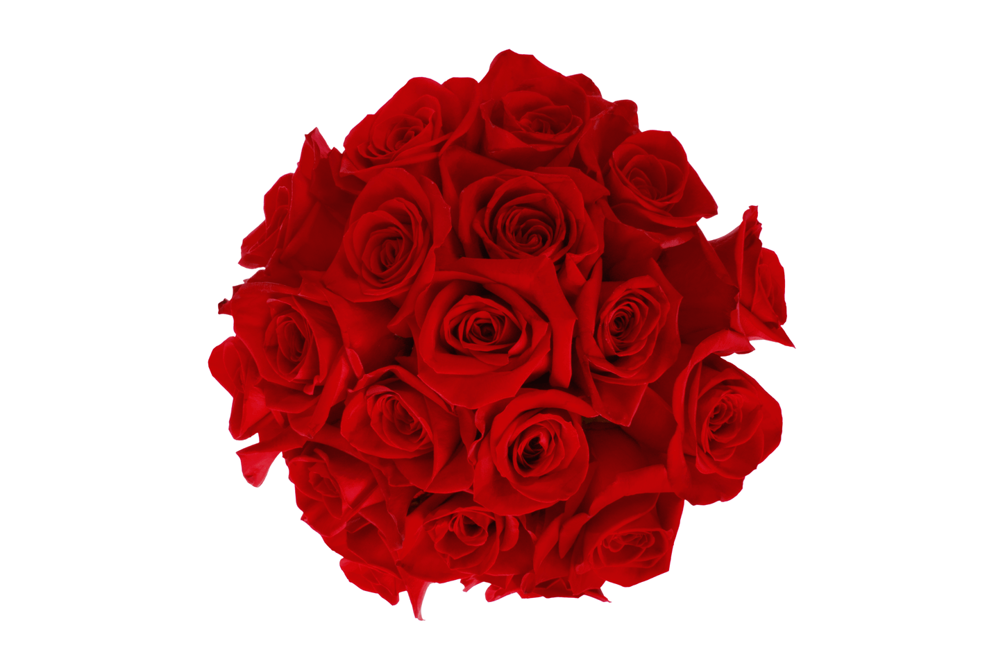Red Roses