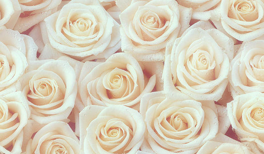 White Roses
